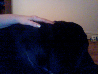 Illustration for article titled Puppy has thrown up 3x tonight. PukeWatch 2013 (TW:puke, poo)